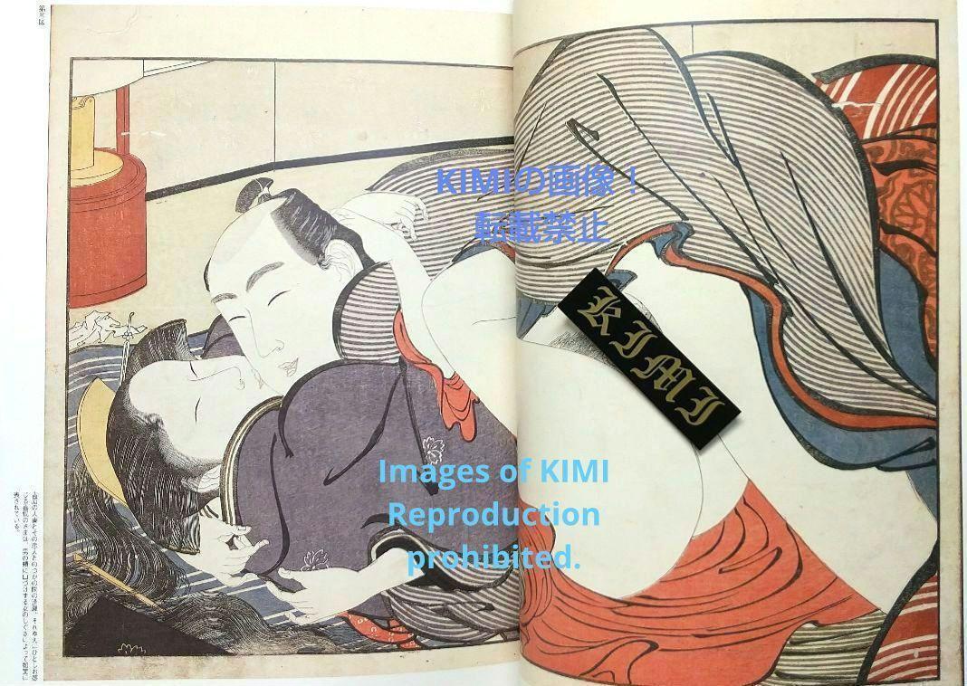 続 春画 色模様百態 別冊太陽 大型本 2008 白倉 敬彦 Shunga On 続 春画 ―色模様百態 (別冊太陽) | 白倉 敬彦 |本 | 通販 | Amazon