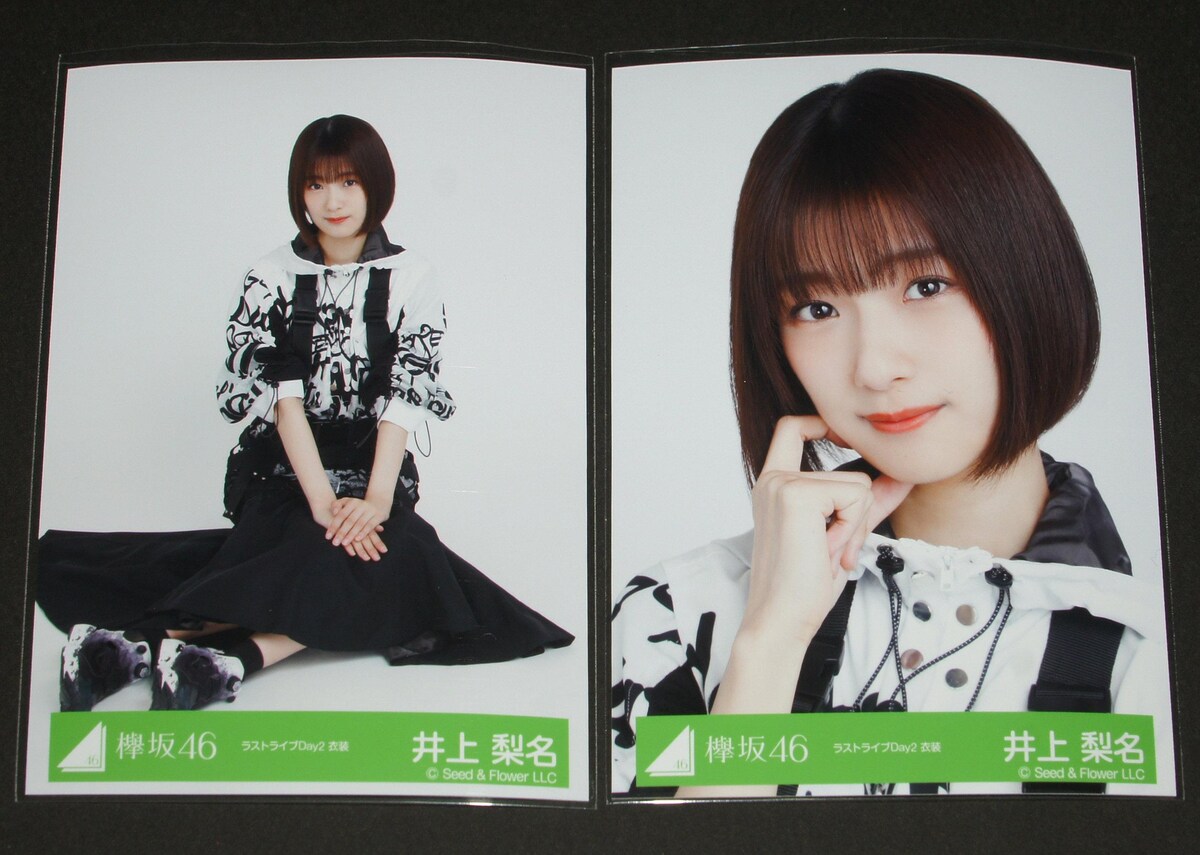 櫻坂46 井上梨名 生写真 コンプ セミコンまとめ売り 頼もしく