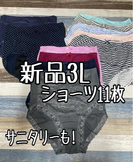 希少 黄金葉が綺麗です ☆黄金アオダモ☆ H2.2m 残りわずか 3 S〜2L