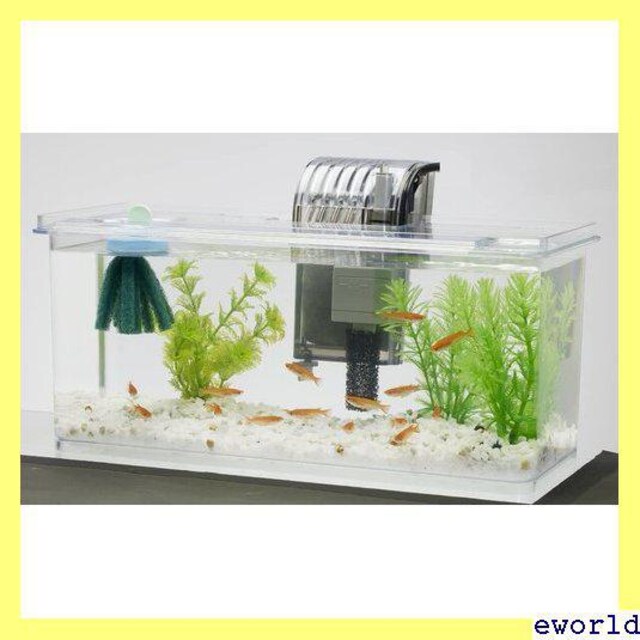 激安 テトラ 金魚 メダカ 熱帯魚 アクアリウム 水槽 L メダカの繁殖を楽しむセット 7 女性ファッション 新品 中古のオークション モバオク No
