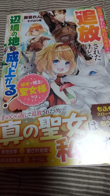 幼女で領主で聖女様 名前を奪われ外れスキルと追放されたけど 新品 中古のオークション モバオク