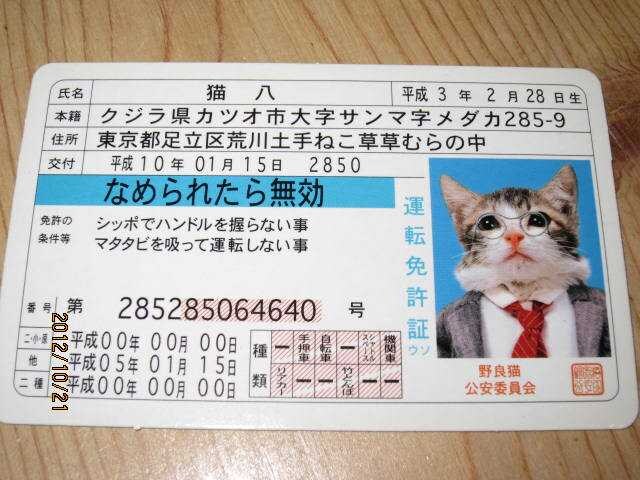 なめ猫なめんなよ 免許証 なめねこ 猫八 新品未使用 新品 中古のオークション モバオク