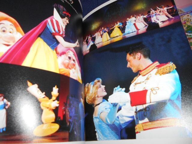 写真集 東京ディズニーランド バレンタインナイト15 本 雑誌 新品 中古のオークション モバオク
