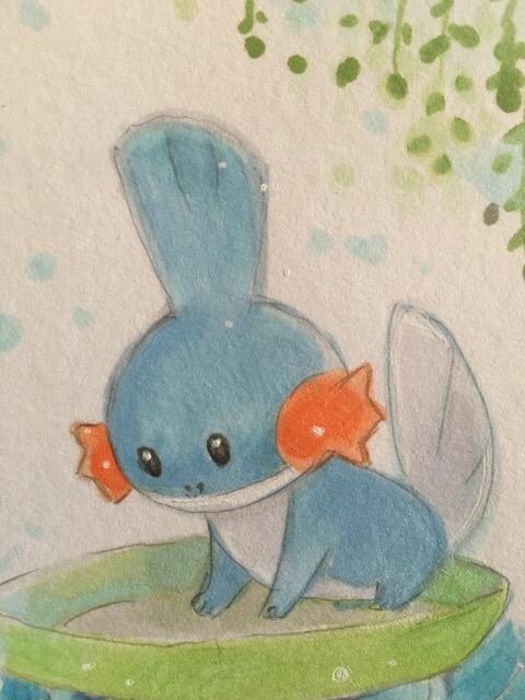 自作イラスト 仲良しミズゴロウとハスボー 新品 中古のオークション モバオク 自作イラスト 仲良しミズゴロウとハスボー 新品 中古のオークション モバオク