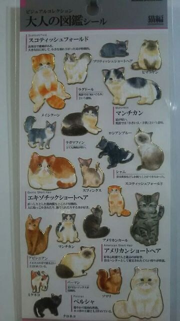未開封 大人の図鑑シール 猫編 スコ マンチカン アメショ ペルシャ 250 ペット 手芸 園芸 新品 中古のオークション モバオク 未開封 大人の図鑑シール 猫編 スコ マンチカン アメショ ペルシャ 250 ペット 手芸 園芸 新品 中古のオークション モバオク