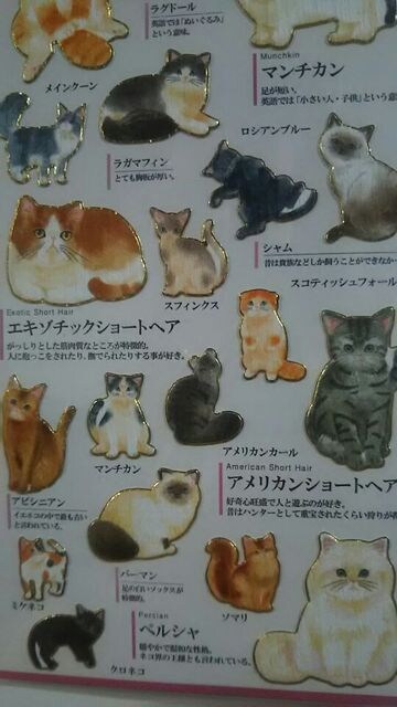 未開封 大人の図鑑シール 猫編 スコ マンチカン アメショ ペルシャ 250 ペット 手芸 園芸 新品 中古のオークション モバオク 未開封 大人の図鑑シール 猫編 スコ マンチカン アメショ ペルシャ 250 ペット 手芸 園芸 新品 中古のオークション モバオク