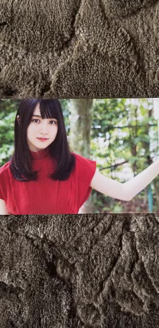 乃木坂46 賀喜遥香 ポストカード | タレントグッズ | 新品・中古の スペシャルプライス 賀喜遥香 アップトゥーボーイ チェキ アイドル