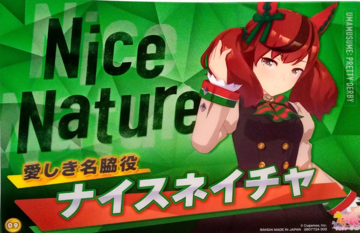 ナイスネイチャ 非売品ポスター
