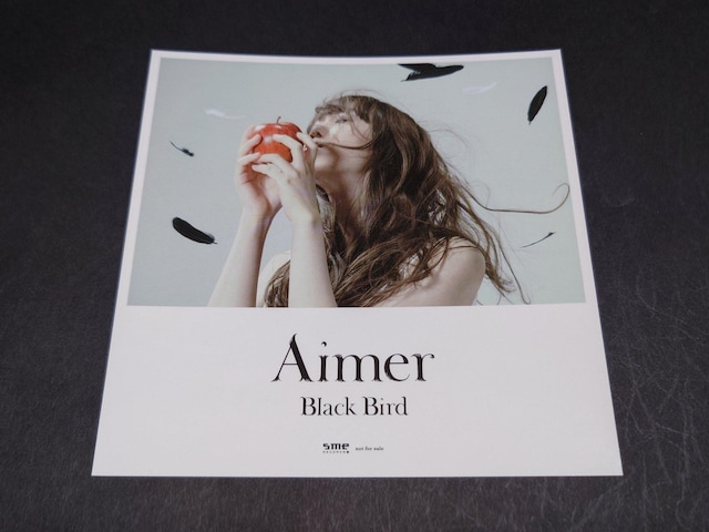 ygpzAmazon.co.jpT AimeruBlack BirdvWPbgTCYXebJ[ / 񔄕i G   ^gObY 