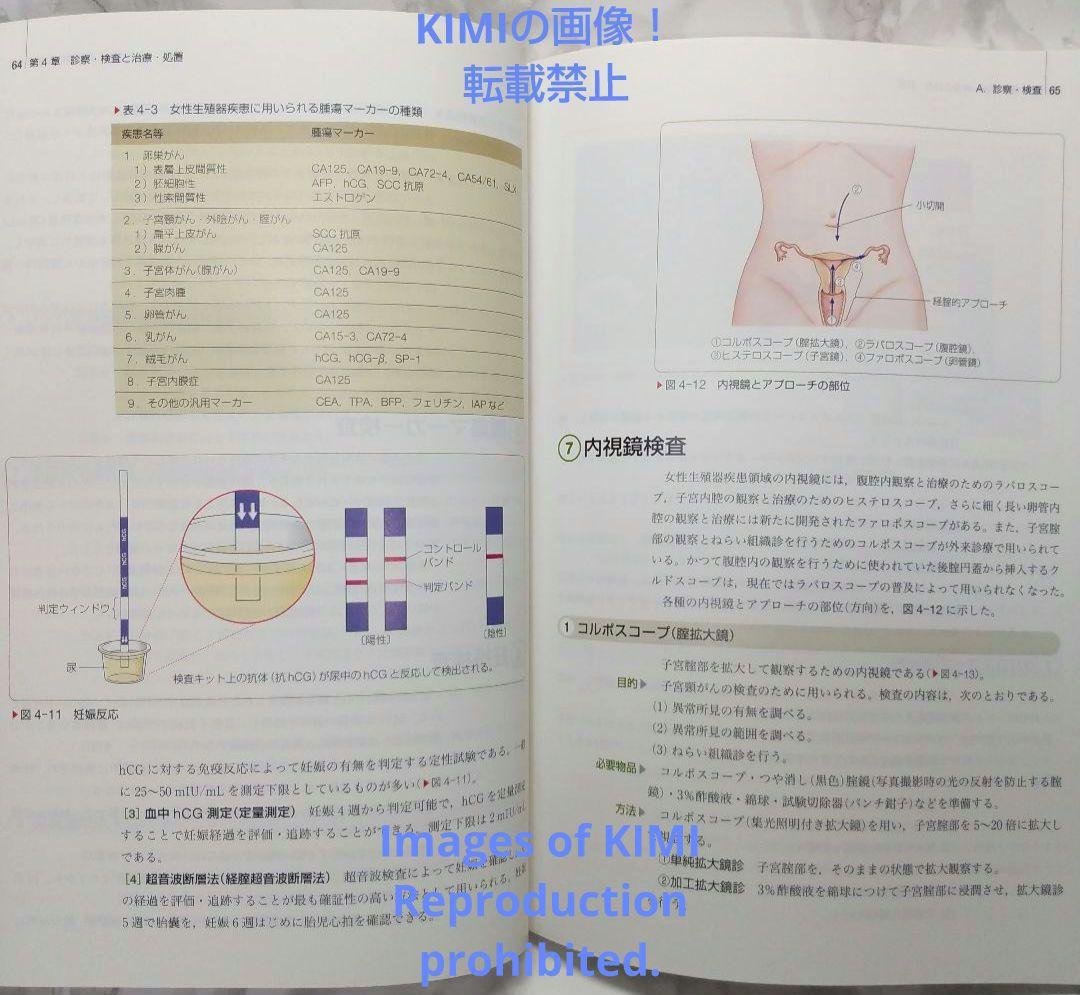 系統看護学講座 専門Ⅱ 8冊セット 家族看護学 第2版 (系統看護学講座別巻) | 上別府 圭子 |本