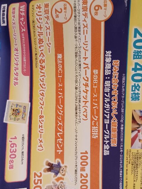 東京ディズニーパークチケットペア100組0名当たる1口 チケット 金券 新品 中古のオークション モバオク
