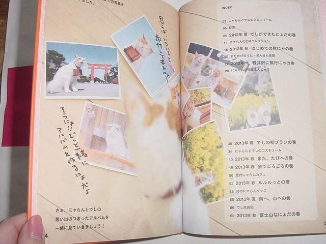にゃらんの思い出アルバム じゃらん4月号別冊付録 ネコ 即決可 新品 中古のオークション モバオク にゃらんの思い出アルバム じゃらん4月号別冊付録 ネコ 即決可 新品 中古のオークション モバオク