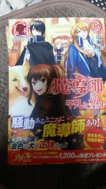 魔導師は平凡を望む 広瀬煉 新品 中古のオークション モバオク 魔導師は平凡を望む 広瀬煉 新品 中古のオークション モバオク
