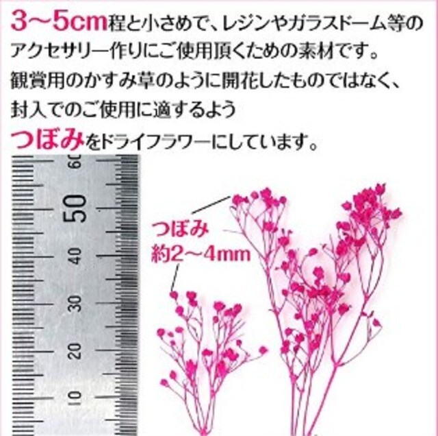 送料無料 12色 かすみ草 ドライフラワー セット ペット 手芸 園芸 新品 中古のオークション モバオク