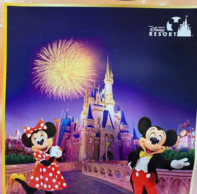 ディズニーリゾートパークペアチケット 500組1000名様1口 チケット 金券 新品 中古のオークション モバオク No