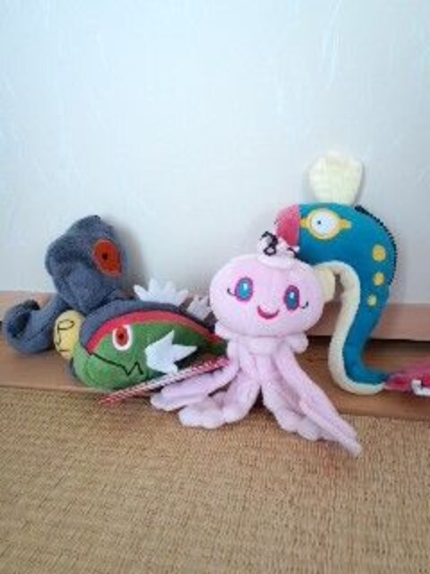 My ポケモンコレクション ぬいぐるみ4匹セット デスマス プルリル シビビール バスラオ 新品 中古のオークション モバオク