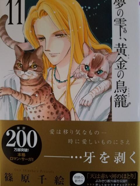 篠原千絵作品 夢の雫 黄金の鳥籠 11巻 新品 中古のオークション モバオク