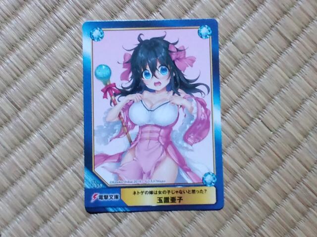 ネトゲの嫁は女の子じゃないと思った 非売品カード 玉置亜子 アニメ コミック キャラクター 新品 中古のオークション モバオク