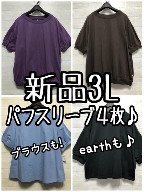 Vi3LptX[u킢gbvX낢4܂Ƃ߂āD894   t@bV 