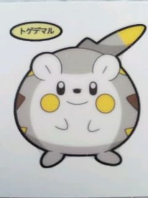 第一パン ポケモン デコキャラシール トゲデマル 新品 中古のオークション モバオク