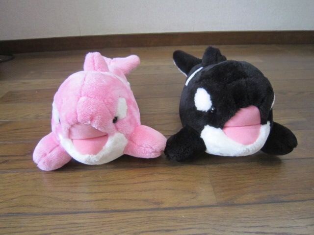 鴨川シーワールド シャチ ぬいぐるみ 黒とピンク2個セット 新品 中古のオークション モバオク 鴨川シーワールド シャチ ぬいぐるみ 黒とピンク2個セット 新品 中古のオークション モバオク
