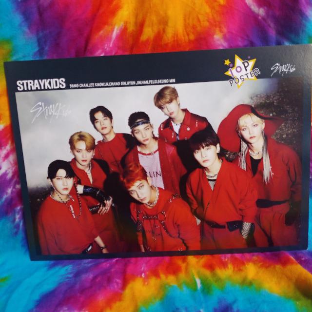 Stray  Kids リノ　チャンビン　ポスター Stray Kids リノチャンビンポスター