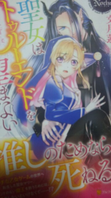 聖女はトゥルーエンドを望まない 文月蓮 ノーチェブックス 本 雑誌 新品 中古のオークション モバオク