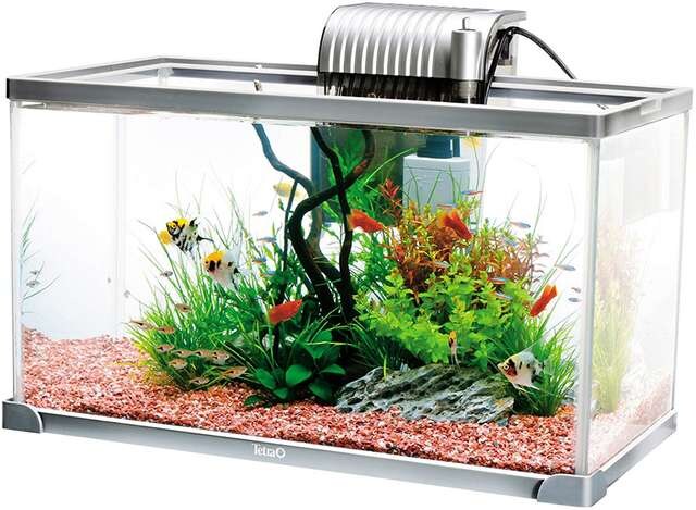 テトラ Tetra アクアリウムセット ペット 手芸 園芸 新品 中古のオークション モバオク テトラ Tetra アクアリウムセット ペット 手芸 園芸 新品 中古のオークション モバオク
