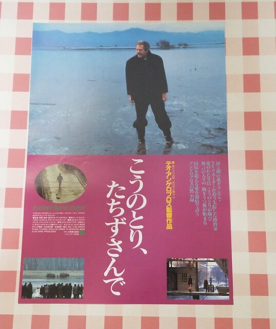 こうのとり たちずさんで チラシ ホビー 新品 中古のオークション モバオク こうのとり たちずさんで チラシ ホビー 新品 中古のオークション モバオク