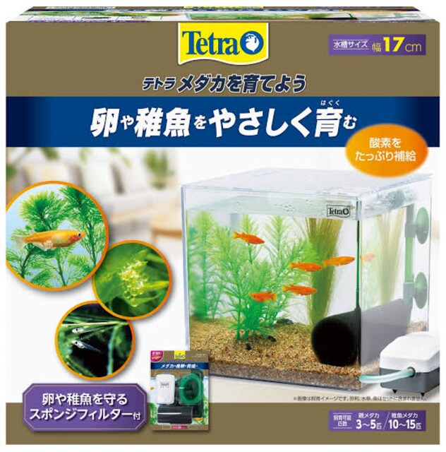 テトラ Tetra 水槽 メダカを育てよう Pl 17kb 新品 中古のオークション モバオク テトラ Tetra 水槽 メダカを育てよう Pl 17kb 新品 中古のオークション モバオク