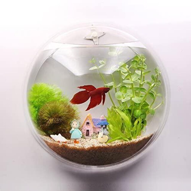 アクアリウム セット ペット 手芸 園芸 新品 中古のオークション モバオク