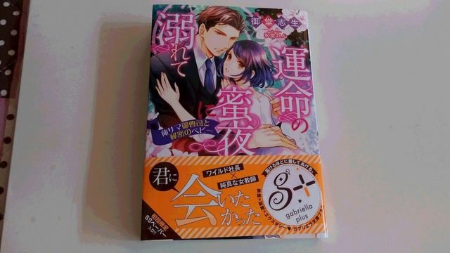 ガブリエラ文庫プラス 運命の蜜夜に溺れて 俺サマ御曹司と 新品 中古のオークション モバオク