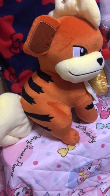 ポケモン ガーディ Big ぬいぐるみ おもちゃ 新品 中古のオークション モバオク No