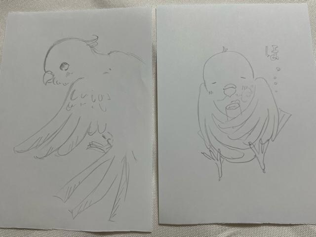自作イラスト 鳥 小鳥 可愛い Bidding Amp Shopping Support Deputy Service Japamart