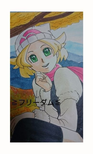 自作イラスト ポケモンbw ベルの晩秋コーデ 新品 中古のオークション モバオク