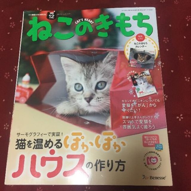 ねこのきもち16年12月号 付録17年カレンダー 新品 中古のオークション モバオク ねこのきもち16年12月号 付録17年カレンダー 新品 中古のオークション モバオク