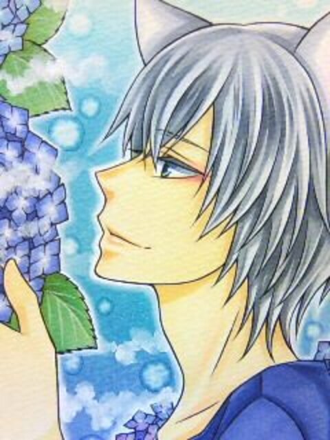 自作イラスト オリジナル 猫耳男子 紫陽花 新品 中古のオークション モバオク
