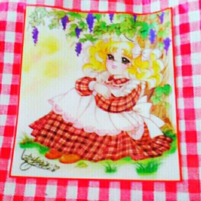 レア 新品 キャンディキャンディ ポーチ いがらしゆみこ 昭和 アニメ コミック キャラクター 新品 中古のオークション モバオク レア 新品 キャンディキャンディ ポーチ いがらしゆみこ 昭和 アニメ コミック キャラクター 新品 中古のオークション モバオク