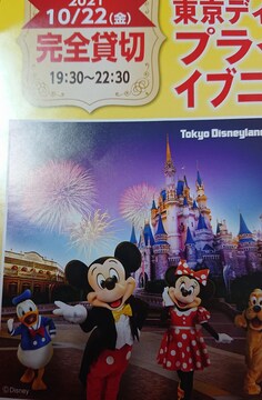 ディズニーランド の落札済み商品一覧 相場情報 新品 中古のオークション モバオク