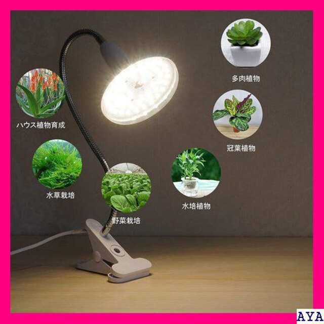 送料無料 植物育成ライト 10w電球 クリップライト 光合成ライト高効率 命 10w電球水耕 植物育成用ledライト 26 インテリア ライフ 新品 中古のオークション モバオク No 送料無料 植物育成ライト 10w電球 クリップライト 光合成ライト高効率 命 10w電球水耕 植物育成用ledライト 26 インテリア ライフ 新品 中古のオークション モバオク No