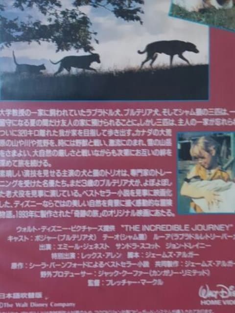 三匹荒野を行く ディズニービデオテープ日本語吹替版 Cd Dvd ビデオ 新品 中古のオークション モバオク 三匹荒野を行く ディズニービデオテープ日本語吹替版 Cd Dvd ビデオ 新品 中古のオークション モバオク