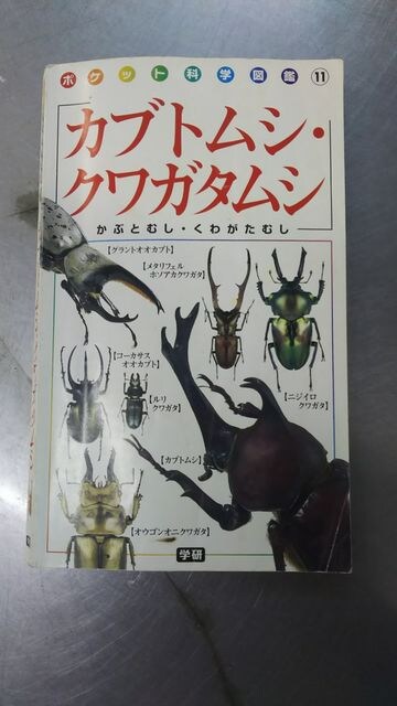ポケット科学図鑑 カブトムシ クワガタムシ 本 雑誌 新品 中古のオークション モバオク ポケット科学図鑑 カブトムシ クワガタムシ 本 雑誌 新品 中古のオークション モバオク
