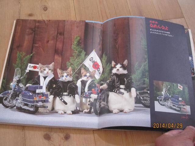 なめ猫なめんなよ写真集 なめねこ 又吉のかっとびアルバム 新品 中古のオークション モバオク なめ猫なめんなよ写真集 なめねこ 又吉のかっとびアルバム 新品 中古のオークション モバオク