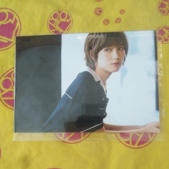 即スリーブ入り美少女 本田翼未使用 L版高画質写真 即購入 Bidding Amp Shopping Support Deputy Service Japamart