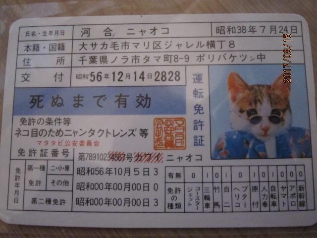 なめ猫なめんなよ 激レア免許証 河合ニャオコ なめねこ 新品 中古のオークション モバオク なめ猫なめんなよ 激レア免許証 河合ニャオコ なめねこ 新品 中古のオークション モバオク