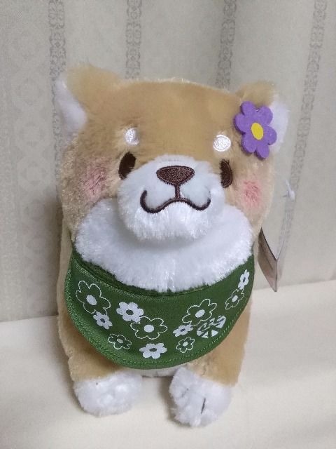 忠犬もちしば ガールズおしゃれぬいぐるみ きなこ 新品 中古のオークション モバオク 忠犬もちしば ガールズおしゃれぬいぐるみ きなこ 新品 中古のオークション モバオク
