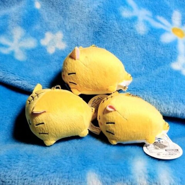 ポヨポヨ観察日記 マスコット 3点セット 未使用 ぬいぐるみ 猫 ネコ ねこ おもちゃ 新品 中古のオークション モバオク No ポヨポヨ観察日記 マスコット 3点セット 未使用 ぬいぐるみ 猫 ネコ ねこ おもちゃ 新品 中古のオークション モバオク No