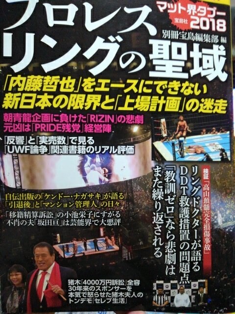 宝島ムック プロレス リングの聖域 マット界タブー18 本 雑誌 新品 中古のオークション モバオク No