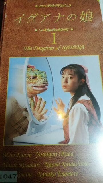 イグアナの娘 菅野美穂 Dvd全巻 新品 中古のオークション モバオク イグアナの娘 菅野美穂 Dvd全巻 新品 中古のオークション モバオク