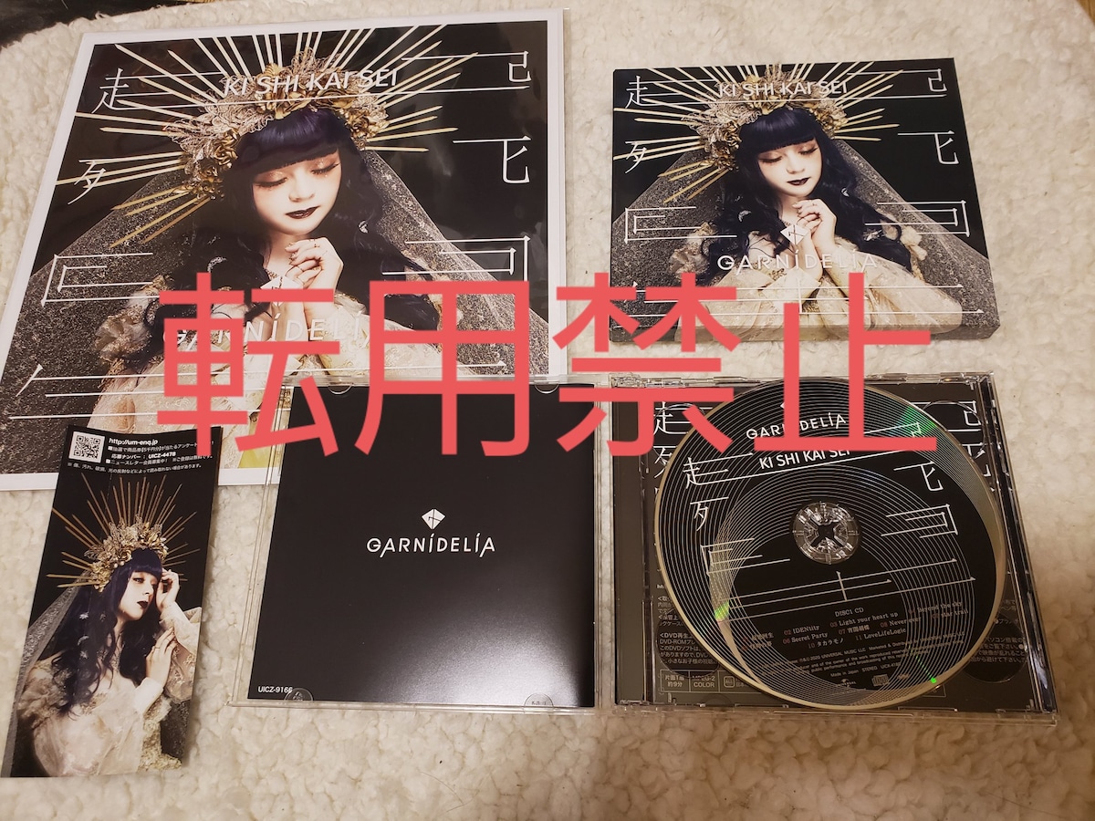 GARNiDELiA 起死回生 Premium live DVD フォトブック GARNiDELiA 起死回生 Premium live DVD フォトブック - メルカリ